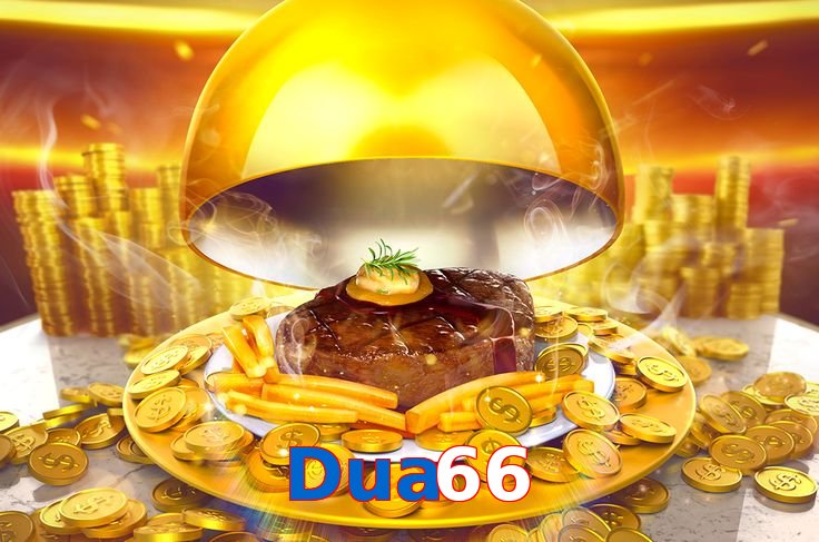 Dua66